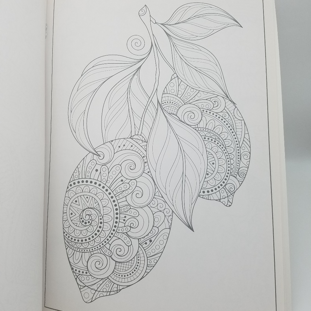 Adult Patterns Coloring Book - Picture 5 of 7